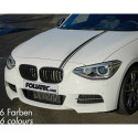 Autokleebis Foliatec FO33934 Hõbe