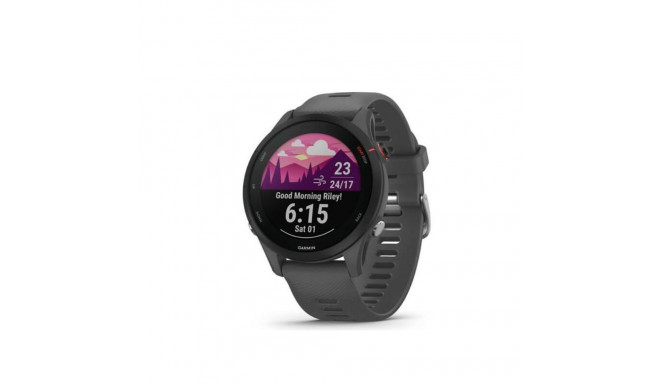 Garmin Forerunner 255 Smartwatch 46mm / Slate Gray