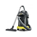 Ash and Dry Vac AD4 Premium