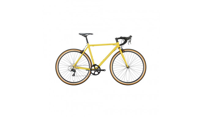 EXCELSIOR Cracker (2025) 28" 53 cm, Gold Matt