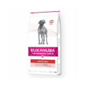 kuivtoit koertele - Eukanuba Veterinary Diets Intestinal, 12 kg