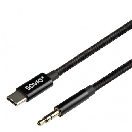 USB-C to mini-Jack cable