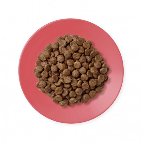 APPLAWS täiskasvanute kana pardiga kuiv kassitoit 400g