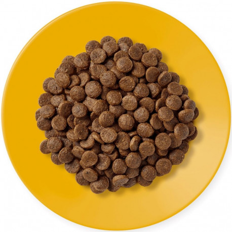 APPLAWS täiskasvanute kanaliha kuiv kassitoit 400g