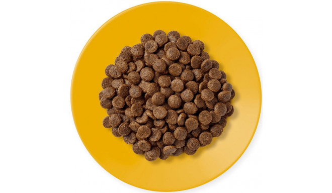 APPLAWS Adult Chicken - dry cat food - 400g