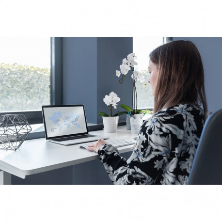 DIGITUS Elektr. hA¶henverstellbarer Sc