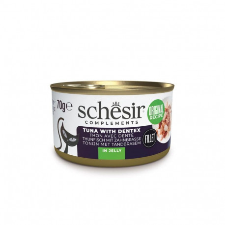 SCHESIR Oceanic Adult tuunikala Denticiga märg kassitoit 70g