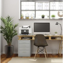 Canon Maxify GX4050, multifunction printer (white, USB, LAN, WLAN, copy, scan, fax)