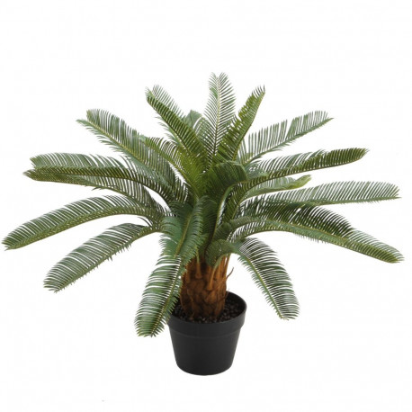 Kunsttaim CYCAS, H70cm, palmlehik, must pott