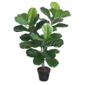 Kunstpuu FIDDLE LEAF, H100cm, 2 tüvega, must pott