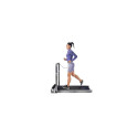 Kingsmith Walking Pad TRR2F R2 electric treadmill