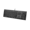 A4Tech FSTYLER FX60H (White Backlit) keyboard USB QWERTY Black, Grey