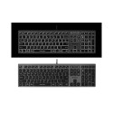 A4Tech FSTYLER FX60H (valge taustvalgustusega) klaviatuur USB QWERTY must, hall