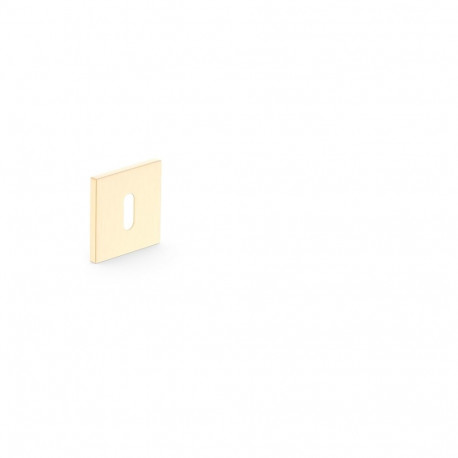 ESCHUTCHEON FOR KEY GOLD