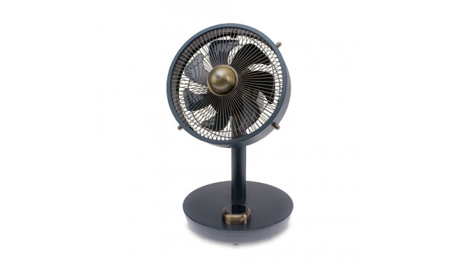 Stylies Cepheus antratsiit, pronks