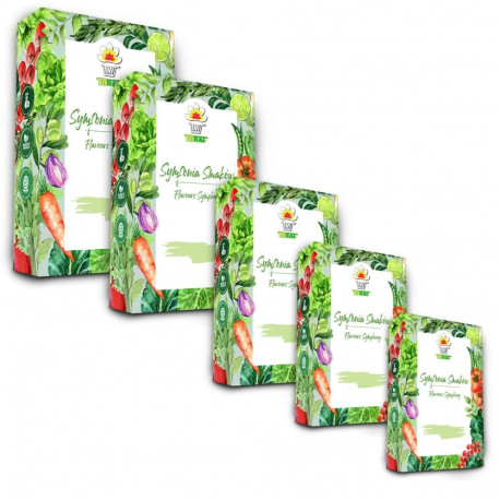 TORAF SEED SET - SET 1X5 2024 TORAF 60X1PCS