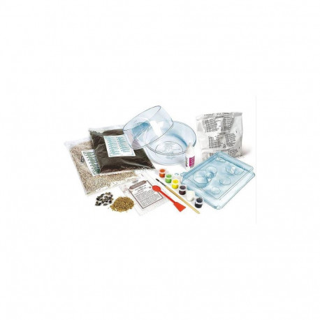 Creative Kit terraarium Hagridi onn