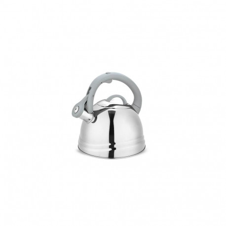 Feel Maestro MR-1304 kettle 2.5 L Grey, Stainless steel