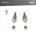 Audio Connection Cable DB-510110-030-S