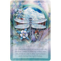 Affirmation Card - The Light Within 54 Cards & 184-Page Guide 11x16x3.8 cm