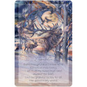 Affirmation Card - The Light Within 54 Cards & 184-Page Guide 11x16x3.8 cm