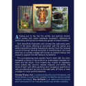 Oracle Deck - Bear and Company The Council of Horses 40 Cards Guidebook
