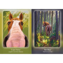 Oracle Deck - Bear and Company The Council of Horses 40 Cards Guidebook