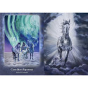 Oracle Deck - Bear and Company The Council of Horses 40 Cards Guidebook