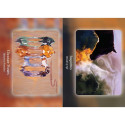 Oracle Deck - Bear and Company The Council of Horses 40 Cards Guidebook