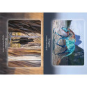 Oracle Deck - Bear and Company The Council of Horses 40 Cards Guidebook