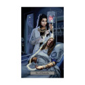 Tarot Deck - Llewellyn Tarot of the Vampires 78 Cards 240-Page Book