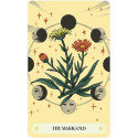 Oracle Card Deck - Herbana Witch Oracle 50 Cards 64-Page Guide Compact Size