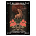 Oracle Deck - Earth & Bone Oracle 42 Cards Instructional Booklet 9x12.8x3.2 cm