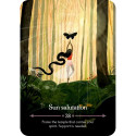Oracle Deck - Seasons of the Witch Litha 44 Cards 10 x 14 x 3.5 cm