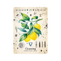 Oracle Card Deck - Green Witch Oracle 44 Cards 10.2 x 14.0 cm Plastic-Coated