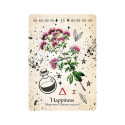 Oracle Card Deck - Green Witch Oracle 44 Cards 10.2 x 14.0 cm Plastic-Coated