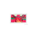 Samsung 75” Customisable Frame White Bezel (2025) - White
