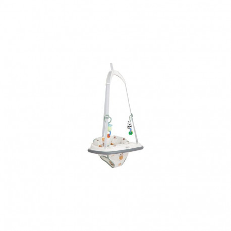 Graco Bumper Jumper Multicolour