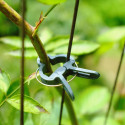 AG691H clip for tying high-growing plants 12pcs