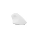 NATEC Crake 2 universaalne paremakäeline RF juhtmevaba + Bluetooth optiline 2400 DPI hiir