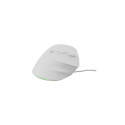NATEC Crake 2 Pro universaalne paremakäeline USB Type-A optiline 12800 DPI hiir