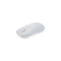 ASUS Marshmallow MD100 mouse Office Ambidextrous RF Wireless + Bluetooth Optical 1600 DPI