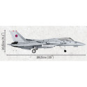 Blocks F-14A Tomcat