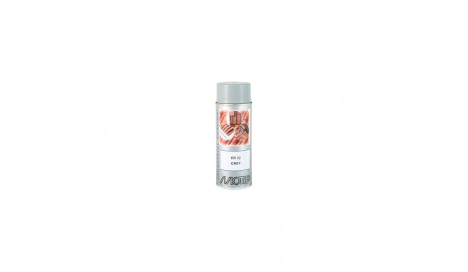 RR22 katusevärv hall 400ml