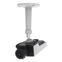 Axis 02483-001 security camera Box Indoor & outdoor 1920 x 1080 pixels Wall