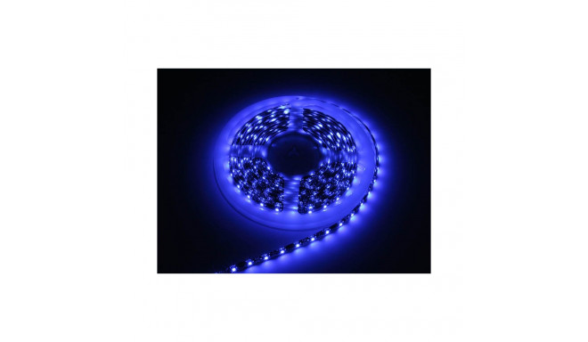 70-979# LED-tuli lint sinine 3528 5m/300 veekindel
