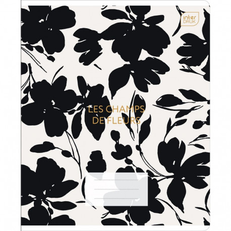 Kaustik 165x208 80 lehte, jooneline MIX assortii Interdruk