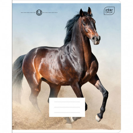 Koolivihik 165x208 12lehte, 23joont MIX assortii Interdruk