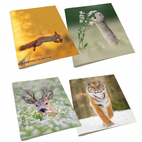 Kaustik A5 36l. jooneline Loomad, Hans van Duijan, BP