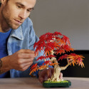 LEGO Botanicals Jaapani punase vahtra bonsaipuu